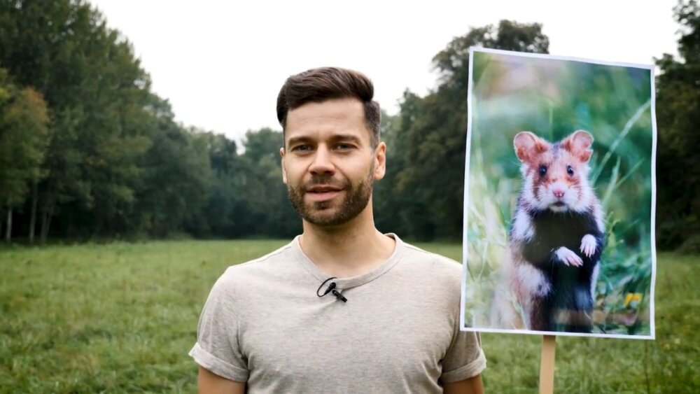 Platzhalterbild — Faktencheck mit Jack Pop: Sterben Tierarten aufgrund des Klimawandels aus?